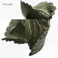 H24 EDP  100ml-207507 H24 EDP  100ml-207507 3